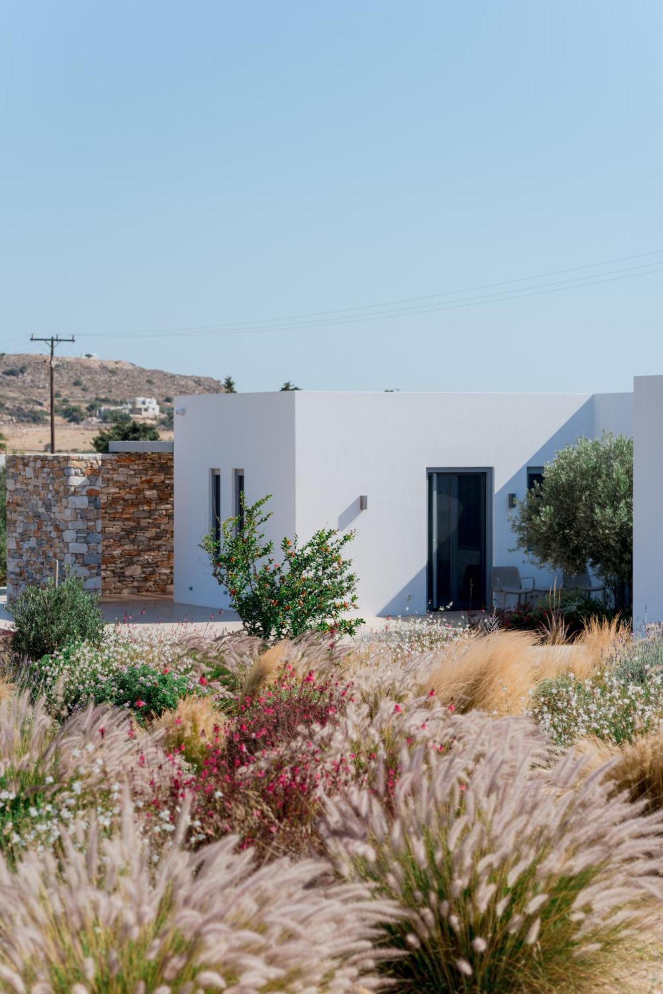 Villa Bracket House Paros à Dhragoulas Extérieur photo